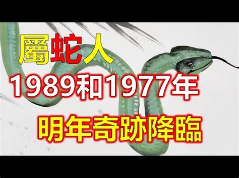 土蛇 1989|1989年生肖蛇的是什么命 89年的属蛇人一生命运分析